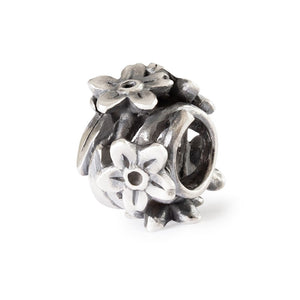 Dolce Nontiscordardime - TAGBE-10294