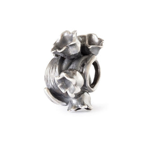 Delicato Mughetto - TAGBE-10295