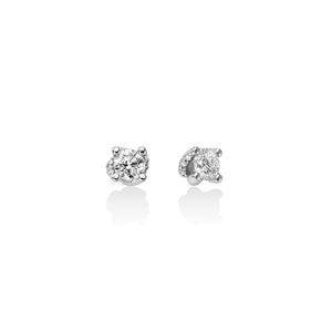 Orecchini Miluna - Punto Luce Diamante - ERD2415-030G7