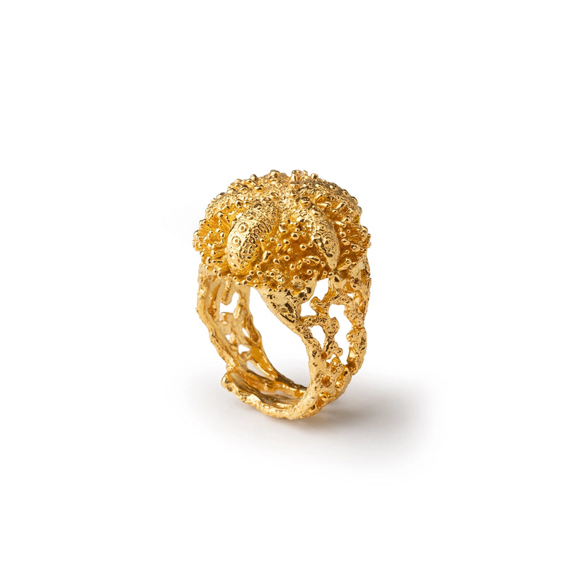 Anello Gold Riccio Aculei - 20001500