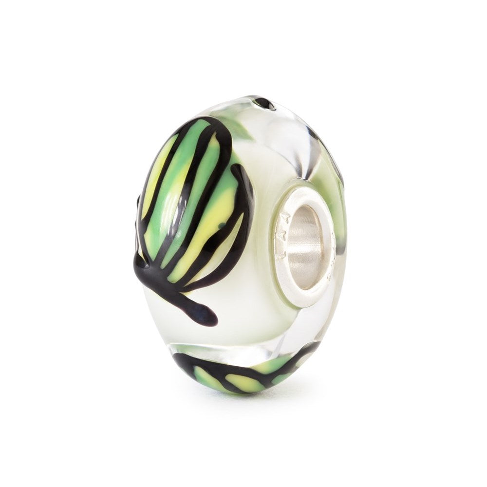 Farfalla della Foresta - TGLBE-20476