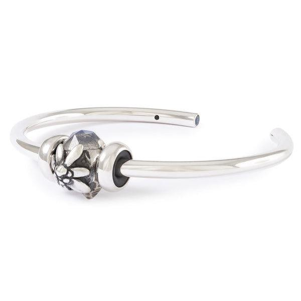 TAGBE-00315 composto