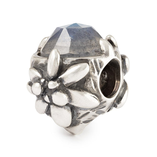 TAGBE-00315