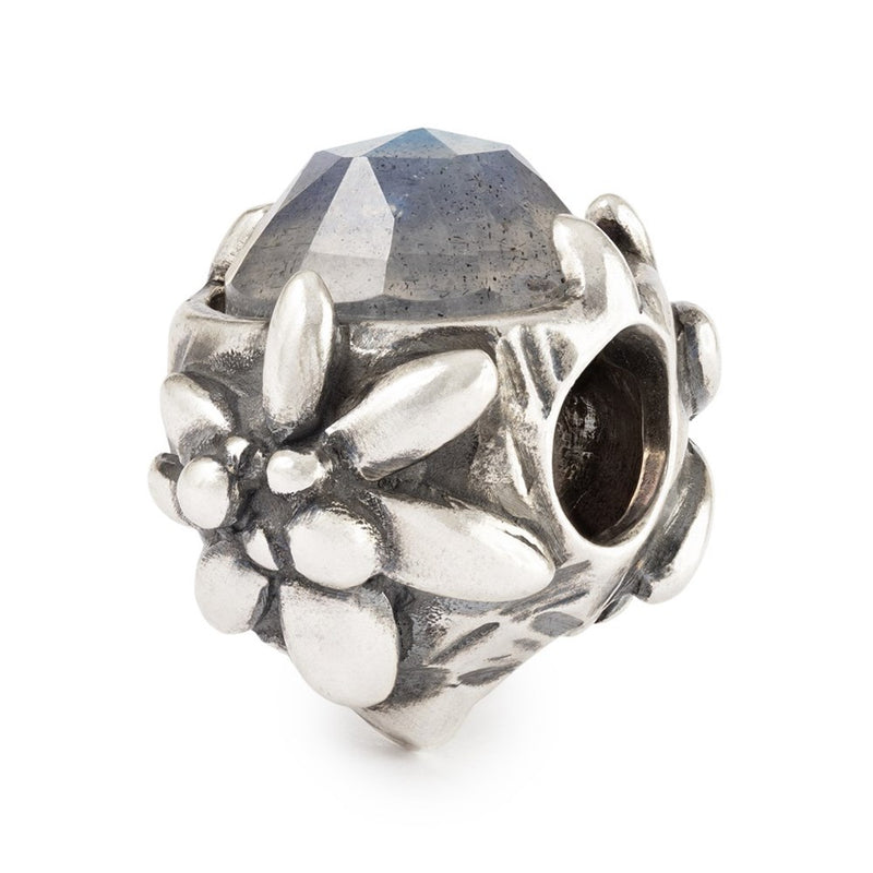 TAGBE-00315