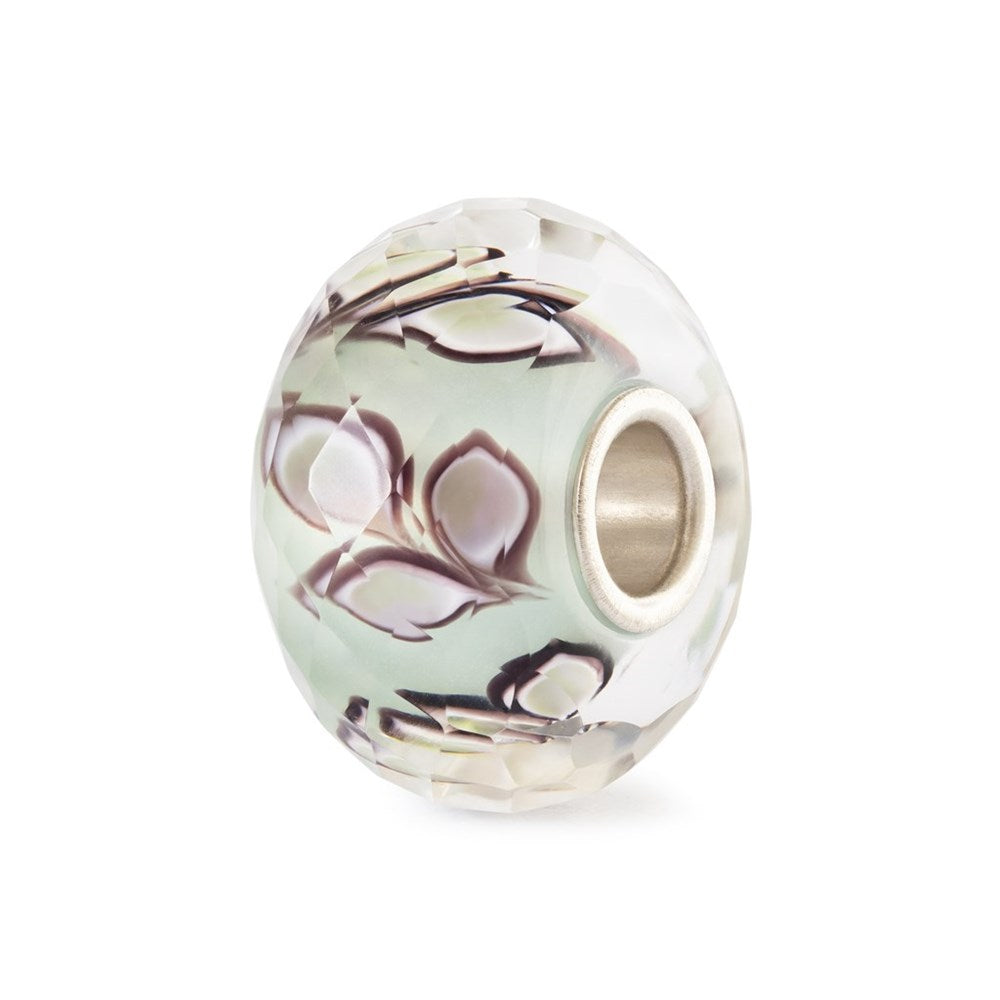 Foglie del Silenzio - TGLBE-30190
