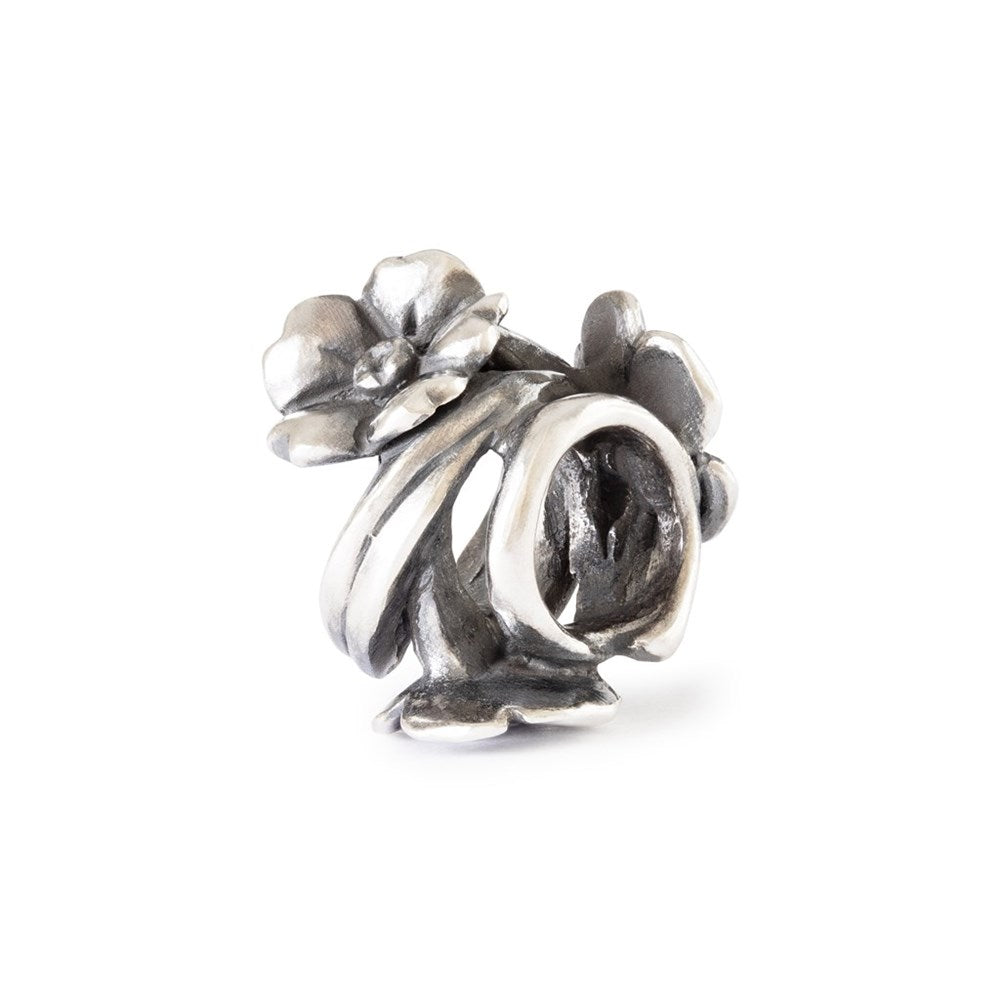 Elegante Fiore di Ciliegio - TAGBE-10296