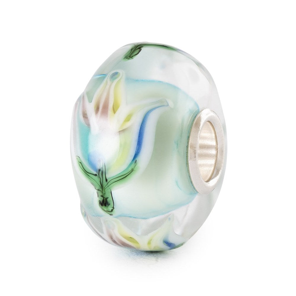 Tulipani Arcobaleno - TGLBE-20439