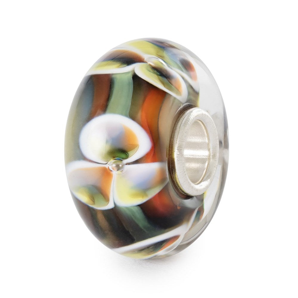 Fiore Arcobaleno - TGLBE-20440