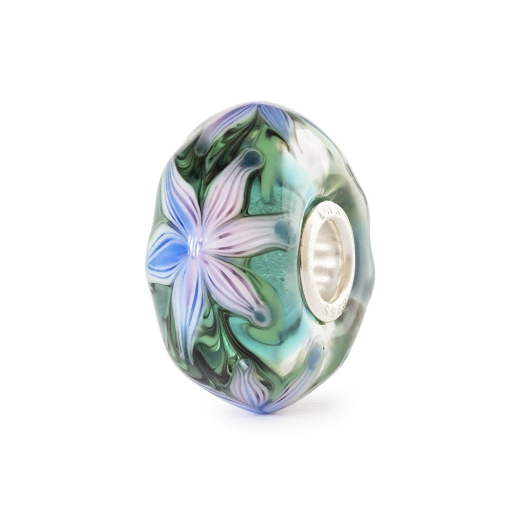 Fiore d'Acqua - TGLBE-20475