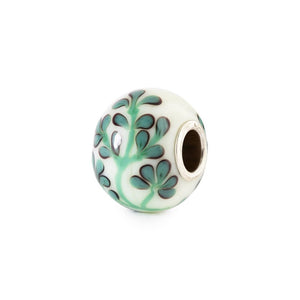 Origano Selvatico - TGLBE-30216