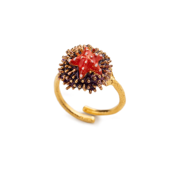 Anello Isola Bella - Riccio Aculei/Stella Marina
