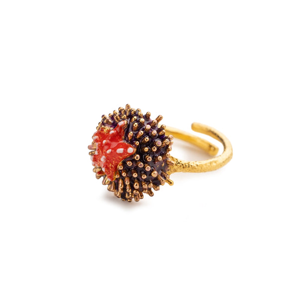 Anello Isola Bella - Riccio Aculei/Stella Marina