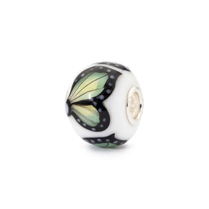 Farfalla della Terra - TGLBE-30194
