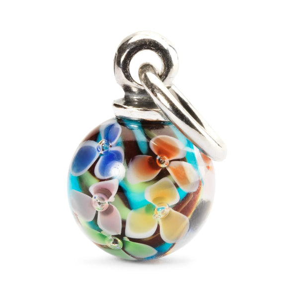 Petali da Sogno - TAGBE-00097
